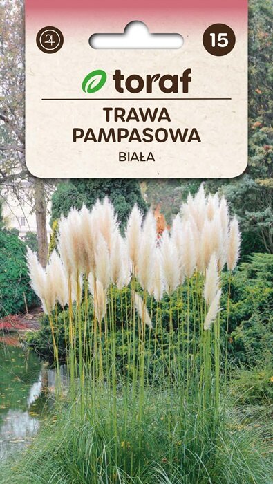 Pampasgras zaden, Cortaderia selloana (wit/bruin)