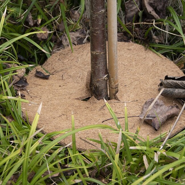 Vorstbescherming schijf, Kokosmat (20/28/38 cm)