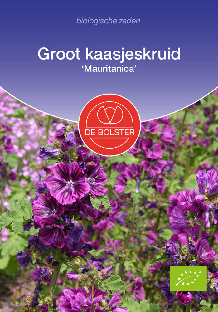 Kaasjeskruid zaden, 'Mauritanica' | BIO