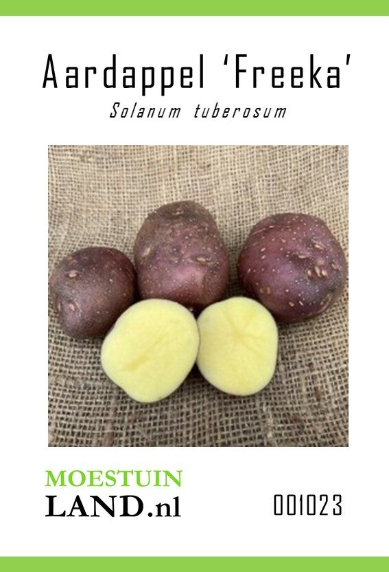 Aardappel zaden, Freeka