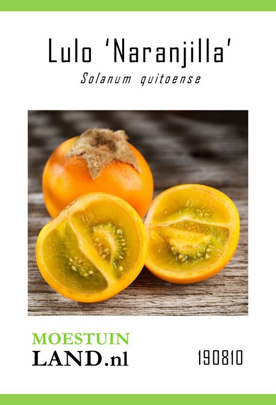 Lulo zaden, 'Naranjilla'