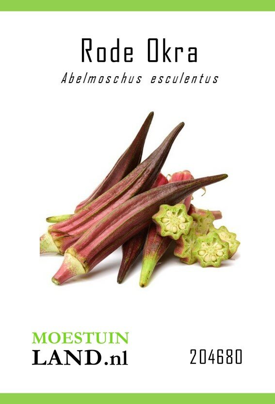 Okra zaden, 'Red Burgundy'