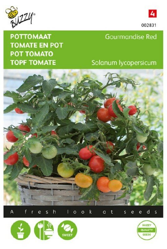 Tomaat zaden, Micro Cherry/Gourmandise (Tomaten)
