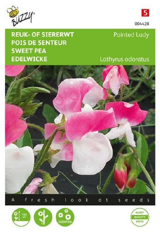 Reukerwt zaden, Painted Lady (Lathyrus)