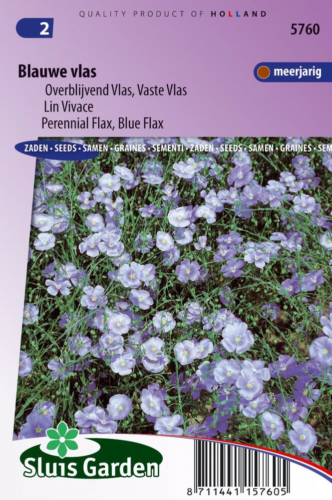 Vlas zaden, Blauw overblijvend (Linum) 