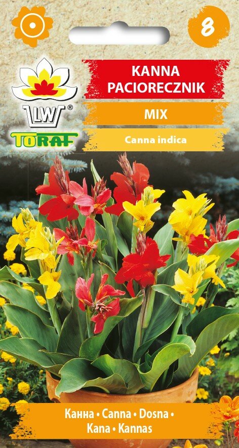 Canna zaden, Mix (Canna indica)