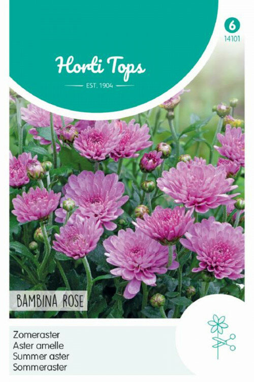 Aster zaden, Bambina Rose