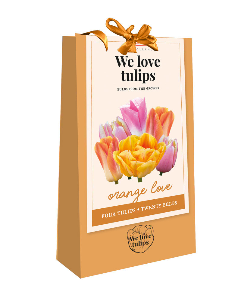 Tulpen bloembollen, Orange Love