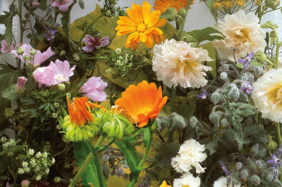 Bloemen en Kruiden Zaden, Eetbaar mengsel