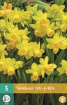 Narcis bloembollen kopen, Tete a Tete (Najaar) | Moestuinland