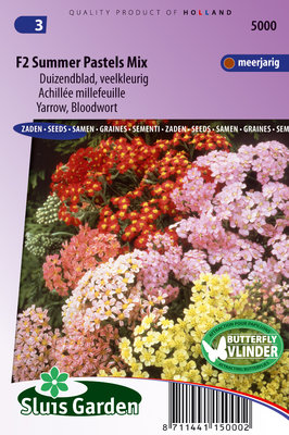 Duizendblad zaden, Summer pastels F2 mix (Achillea)