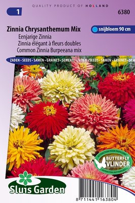 Zinnia Zaden, Chrysanthemum mix
