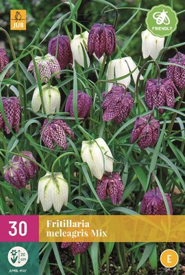 Kievitsbloem bloembollen, Fritillaria meleagris Mix (Grootverpakking)