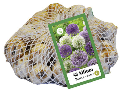 Allium bloembollen, Paars-Wit Mix (40 stuks)