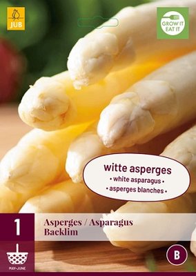 Asperge wortelstok, Witte Asparagus (Backlim)