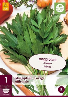 Maggiplant wortelstok, Levisticum officinale