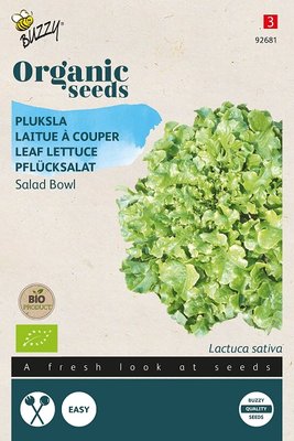 Sla Zaden, Pluksla Salad Bowl groen | BIO