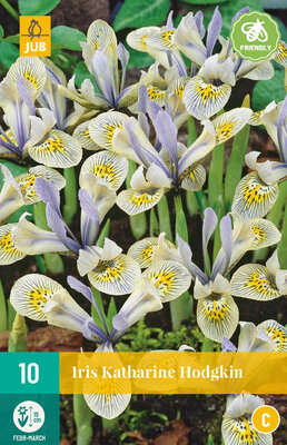 Iris bloembollen, Katharine Hodgkin