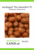 Aardappelzaad kopen, Aardappel Van Iwaarden F2 | Moestuinland