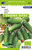 Biologische augurk zaden kopen, augurken hokus | Moestuinland