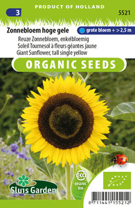 Zaden voor biologische zonnebloemen - Moestuinland